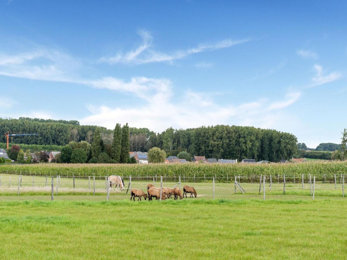 Stunning Holiday Home In Oombergen With Terrace And Garden Zottegem Luaran gambar